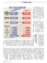 週刊ダイヤモンド１７年３月１１日号